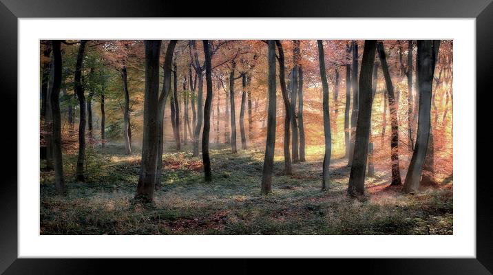 Golden Autumn Dawn Framed Mounted Print by Ceri Jones
