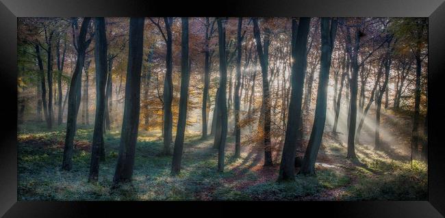 Autumn Morning Dawn Framed Print by Ceri Jones