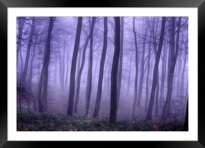 Foggy Woodlands Framed Mounted Print by Ceri Jones