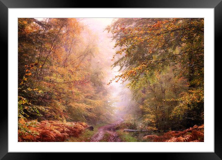 Autumn Path Framed Mounted Print by Ceri Jones