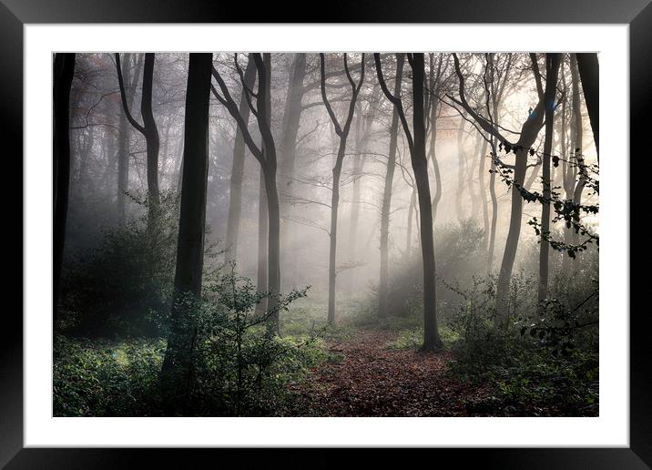 Misty Woodlands Framed Mounted Print by Ceri Jones