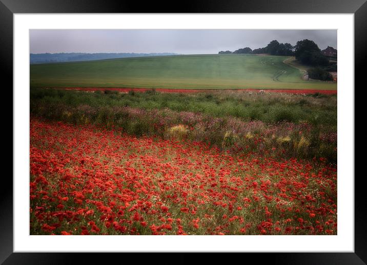 Summer Poppy Fields Framed Mounted Print by Ceri Jones