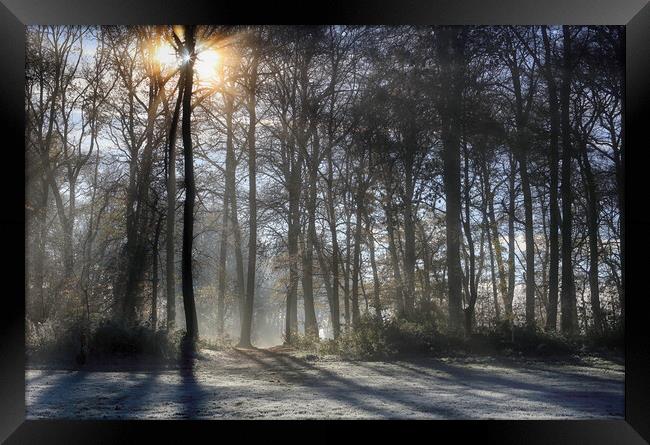 Winter Trees Framed Print by Ceri Jones