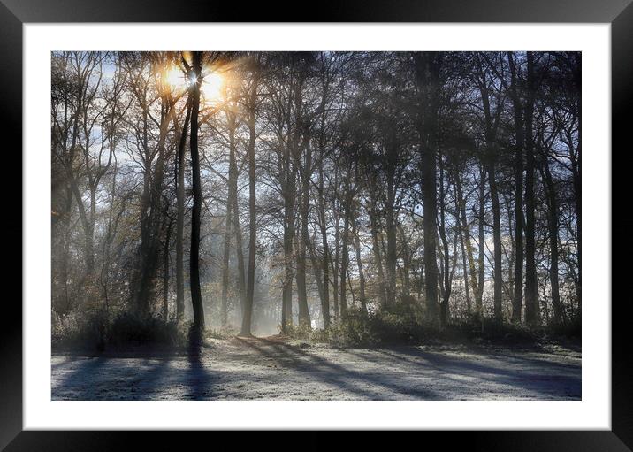 Winter Trees Framed Mounted Print by Ceri Jones