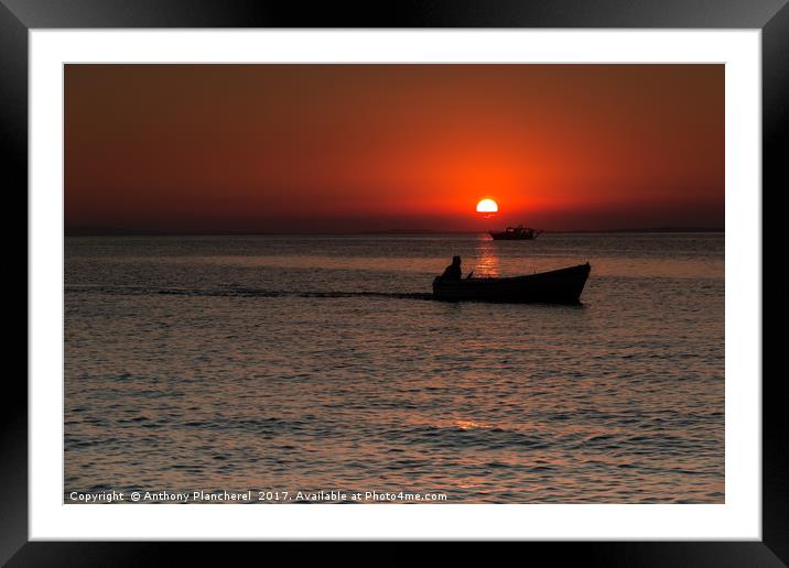 Heading home Framed Mounted Print by Anthony Plancherel