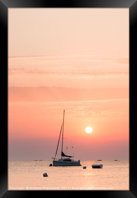 A moment in time Framed Print by Anthony Plancherel