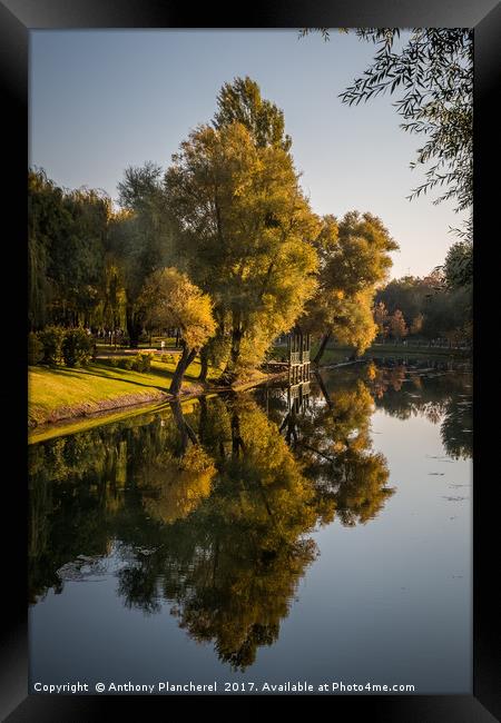 Autumn's Mirror Framed Print by Anthony Plancherel