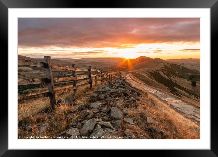 Path to the Sun Framed Mounted Print by Anthony Plancherel