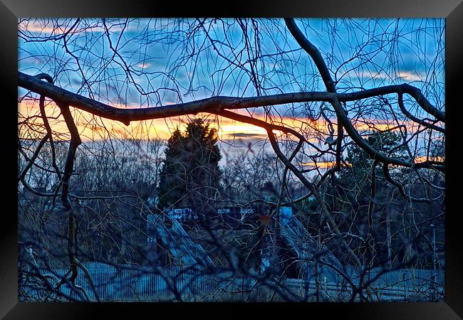 late afternoon Framed Print by mark lindsay
