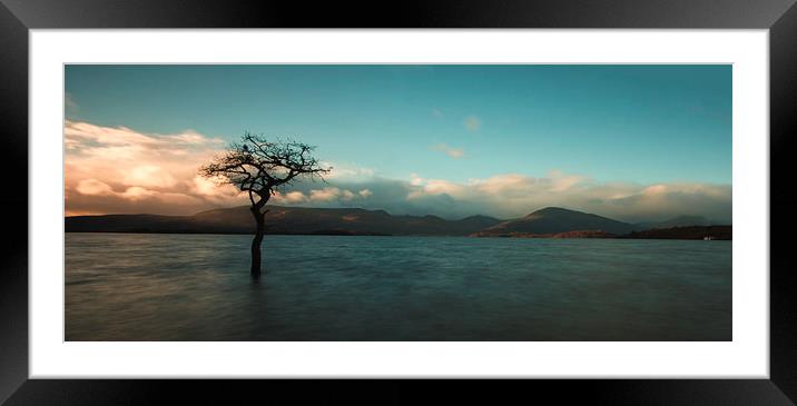 take it all in Framed Mounted Print by scott muir
