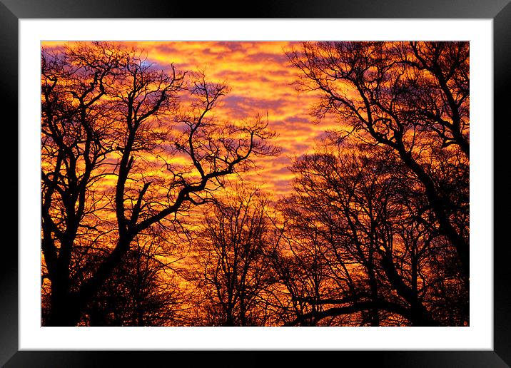 Morning Sky Framed Mounted Print by Stuart Gerrett