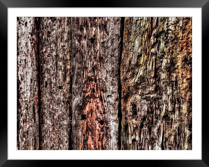 COLOURS AND TEXTURES Framed Mounted Print by len milner