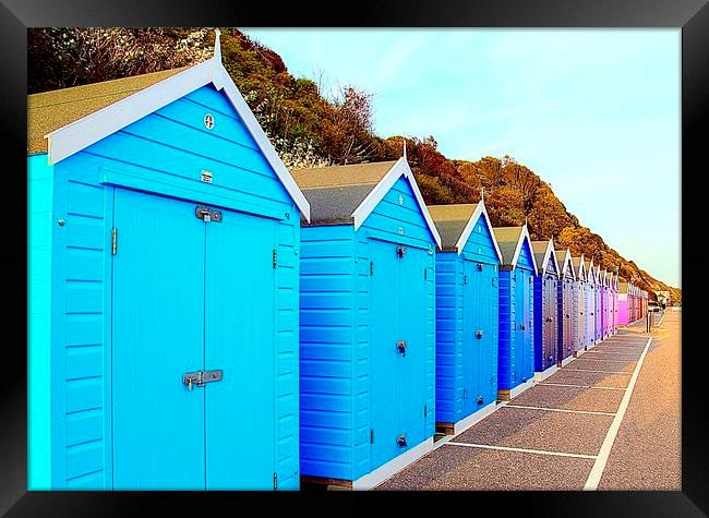 WAITING FOR SUMMER Framed Print by len milner