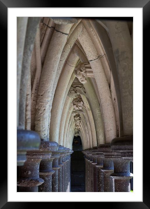 monastery garden at le Mont Saint Michel Framed Mounted Print by Eric Fouwels