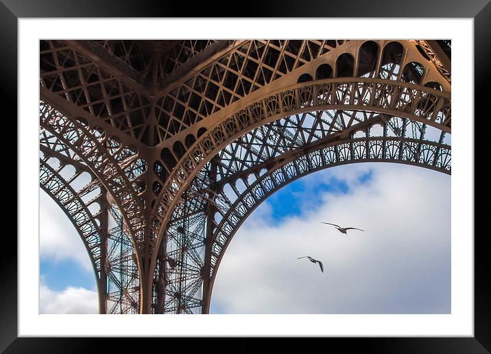 Birds under the Eiffel Tower Framed Mounted Print by Eric Fouwels