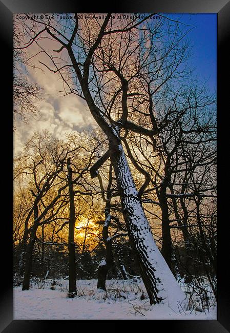 snow tree at sunrise Framed Print by Eric Fouwels
