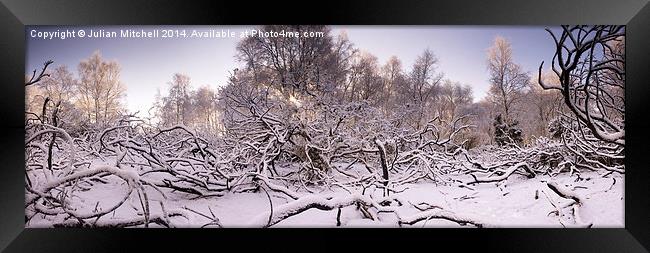 Winter Wonderland Framed Print by Julian Mitchell