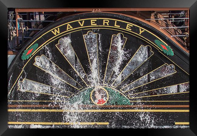 Paddle Steamer Waverley Framed Print by Ian Johnson