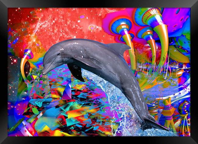 Dolphin Color Splash Framed Print by Matthew Lacey