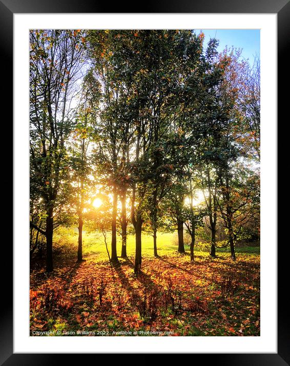 Autumn Evening Framed Mounted Print by Jason Williams