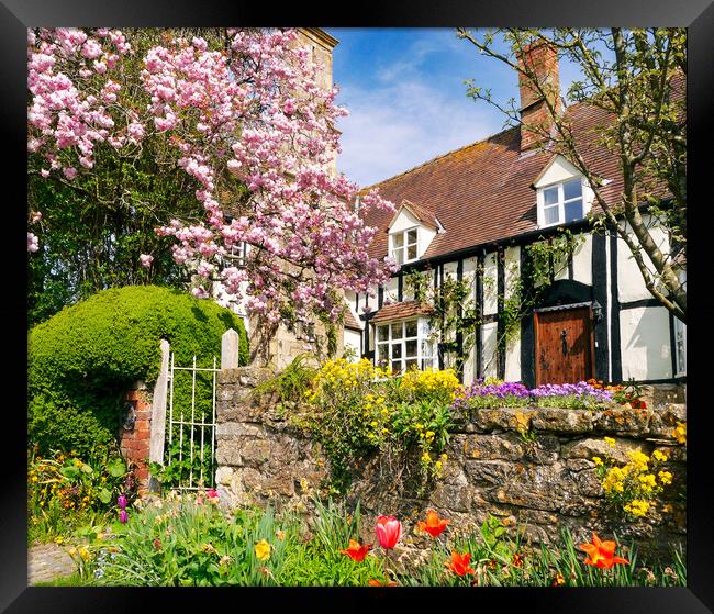 Sringtime Cottage Framed Print by Jason Williams