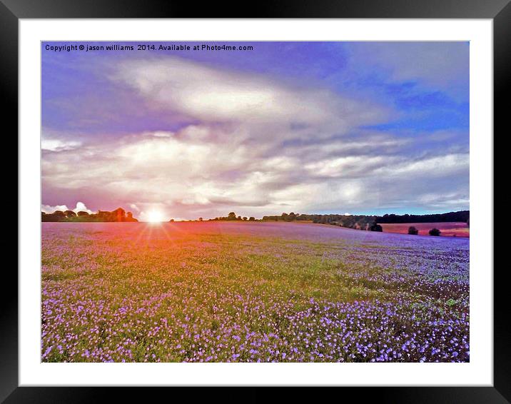 Linseed Glow Framed Mounted Print by Jason Williams
