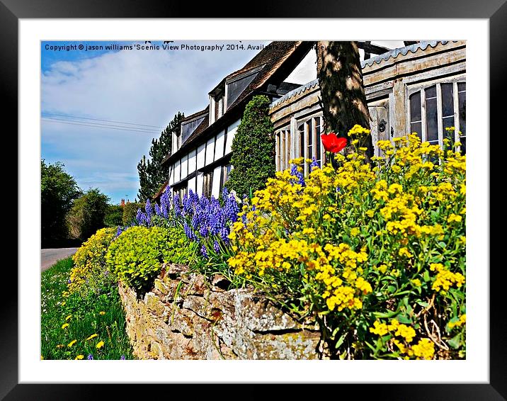 Cottage garden in bloom. Framed Mounted Print by Jason Williams