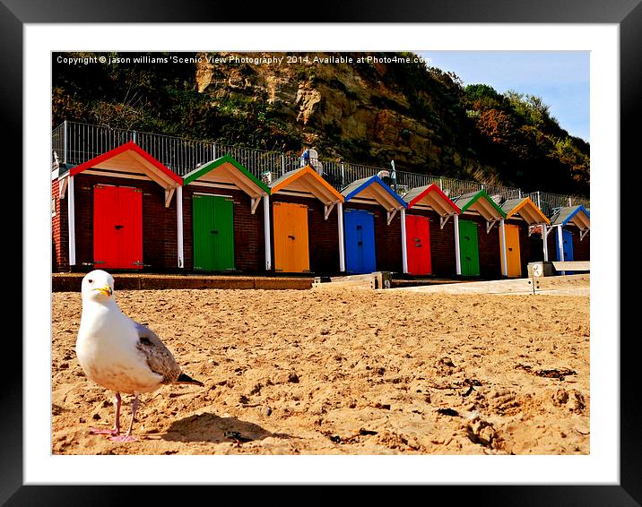 Beach hut beauty. Framed Mounted Print by Jason Williams