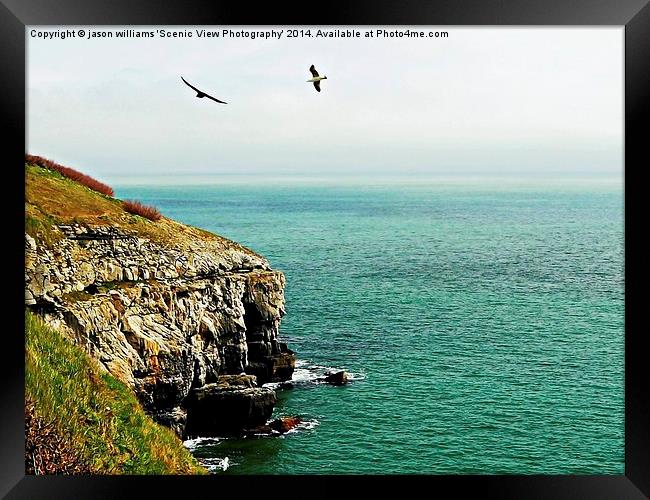 Soaring high. Framed Print by Jason Williams