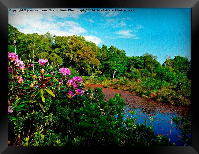 Tranquillity Lake Framed Print by Jason Williams