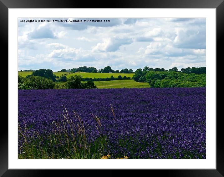 Cotswold Lavender & Landscape  Framed Mounted Print by Jason Williams
