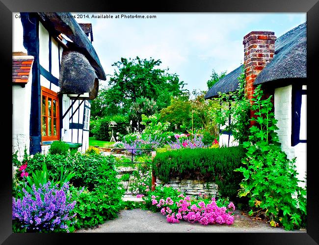  Cottage gardens in bloom.. Framed Print by Jason Williams