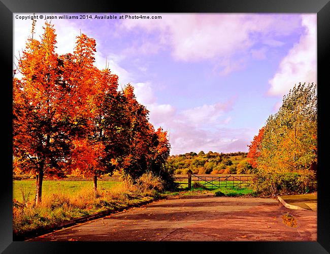  Changing Seasons. Framed Print by Jason Williams