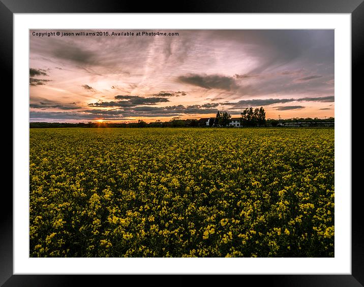 Sunset over Rapeseed.  Framed Mounted Print by Jason Williams