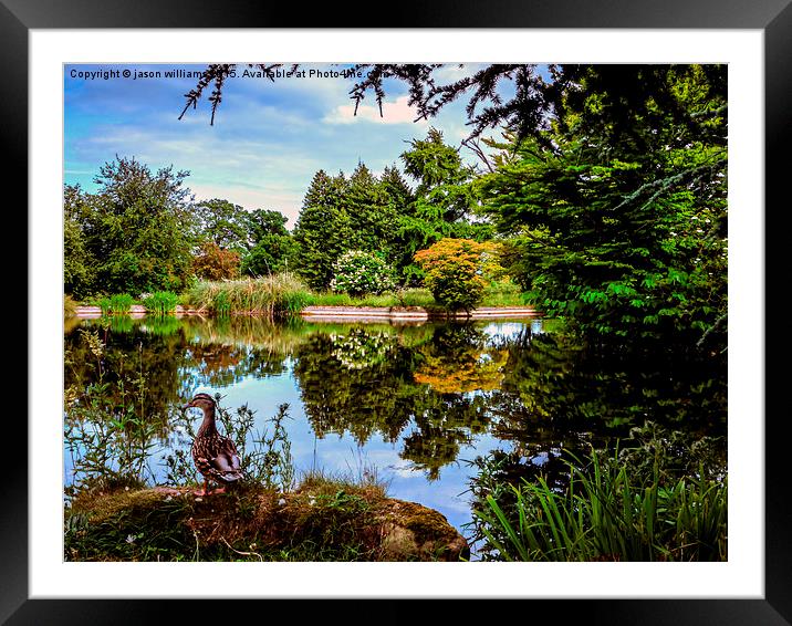  Lakeside reflections.  Framed Mounted Print by Jason Williams