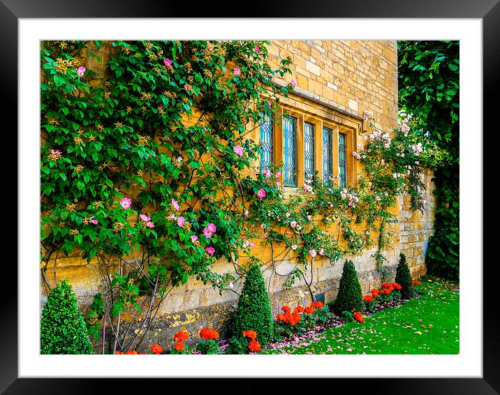  Climbing Roses, Flowers & Architecture. Framed Mounted Print by Jason Williams