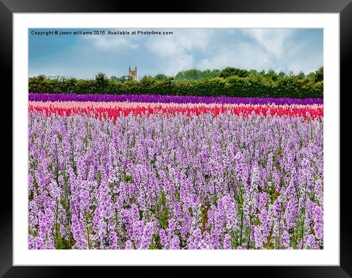 The Confetti Fields of England.  Framed Mounted Print by Jason Williams