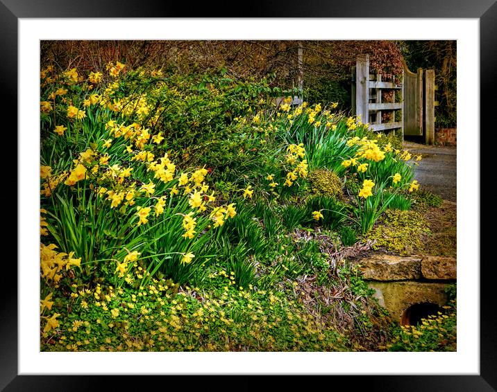 Spring has Sprung! Framed Mounted Print by Jason Williams