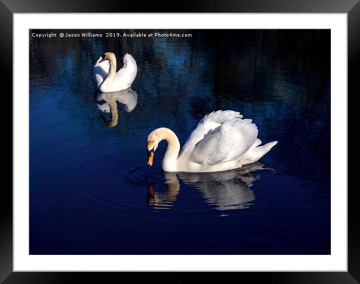 Swan Lake Framed Mounted Print by Jason Williams