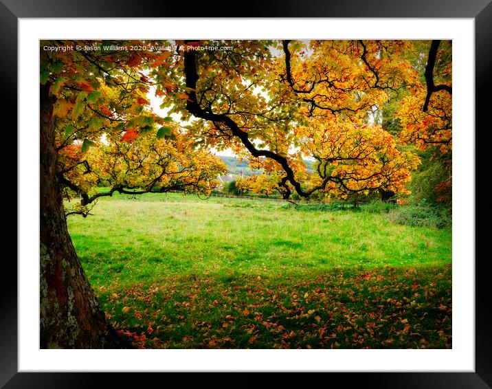 Changing Seasons Framed Mounted Print by Jason Williams