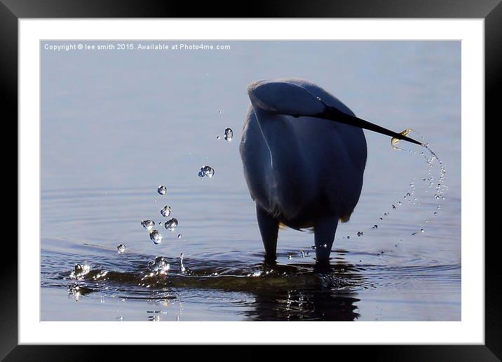  So precious to your life, at my end let me shine  Framed Mounted Print by lee smith