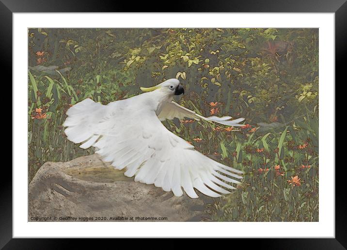 Rapid Take-off Framed Mounted Print by Geoffrey Higges