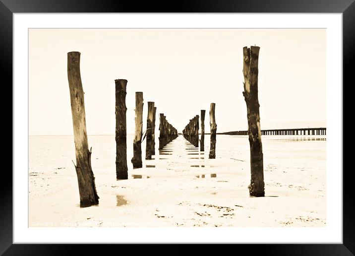 Wooden pillars at low tide Framed Mounted Print by Sandra Broenimann