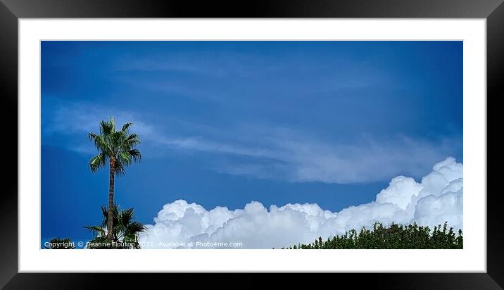 Tall Palm Tree and Clouds Sto Tomás Menorca Framed Mounted Print by Deanne Flouton
