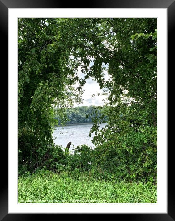 Summer's Eye on Nature Framed Mounted Print by Deanne Flouton