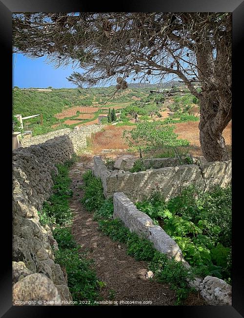 Country Path in Es Migjorn Menorca Framed Print by Deanne Flouton