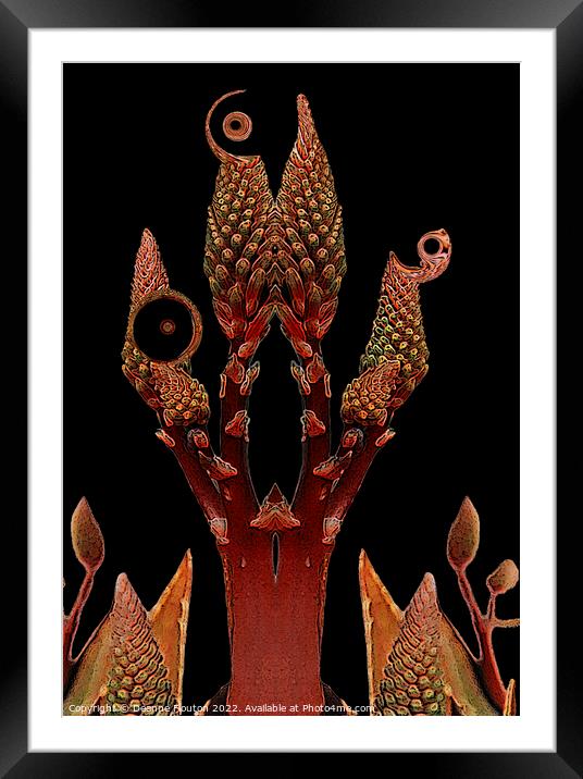 Surreal Aloe Garden Framed Mounted Print by Deanne Flouton