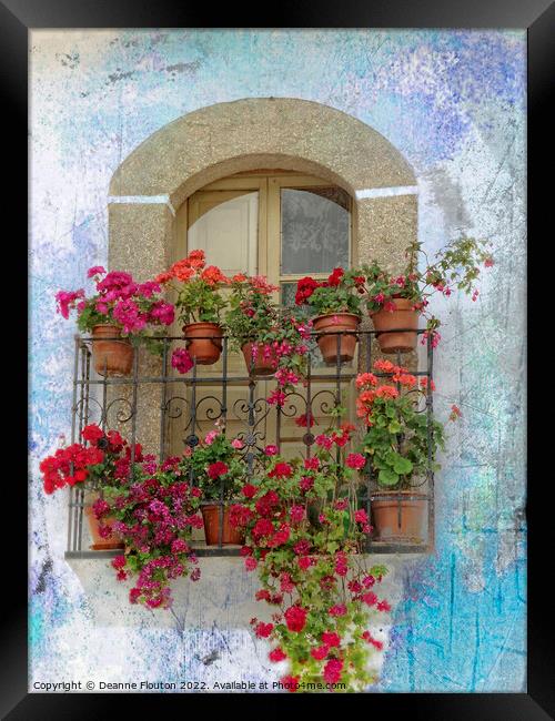 Geranium Balcony Blooms Framed Print by Deanne Flouton