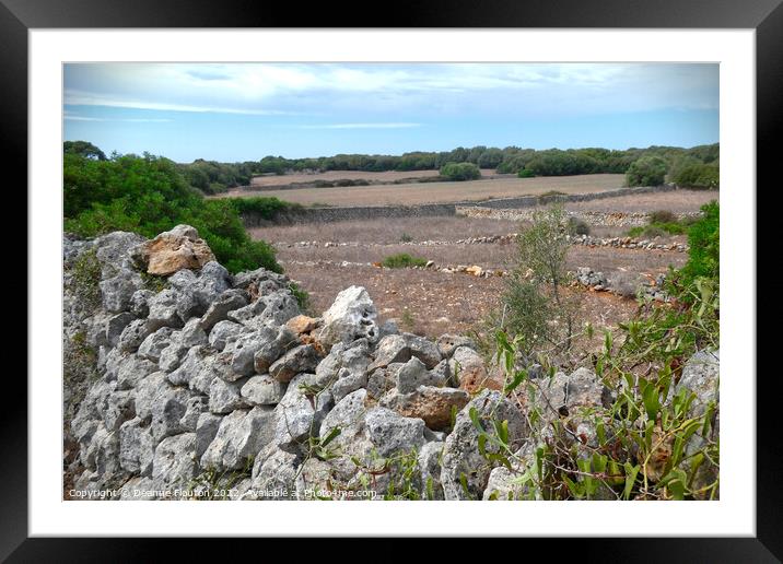 Picturesque  Field and Stone Wall Menorca Framed Mounted Print by Deanne Flouton