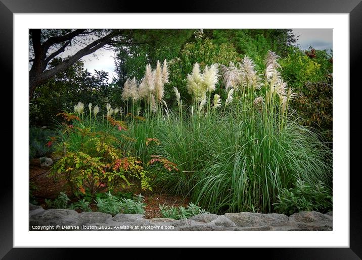 Feathered Garden Paradise Framed Mounted Print by Deanne Flouton
